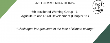 6та сесија рг1 - англиски (8)