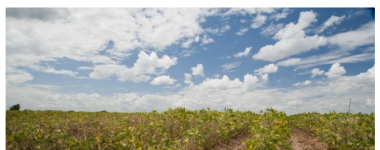 Working group 1 sixth session TV Kanal 5